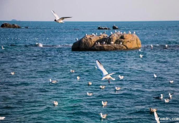 离子色谱应用：海水中阴阳离子的检测