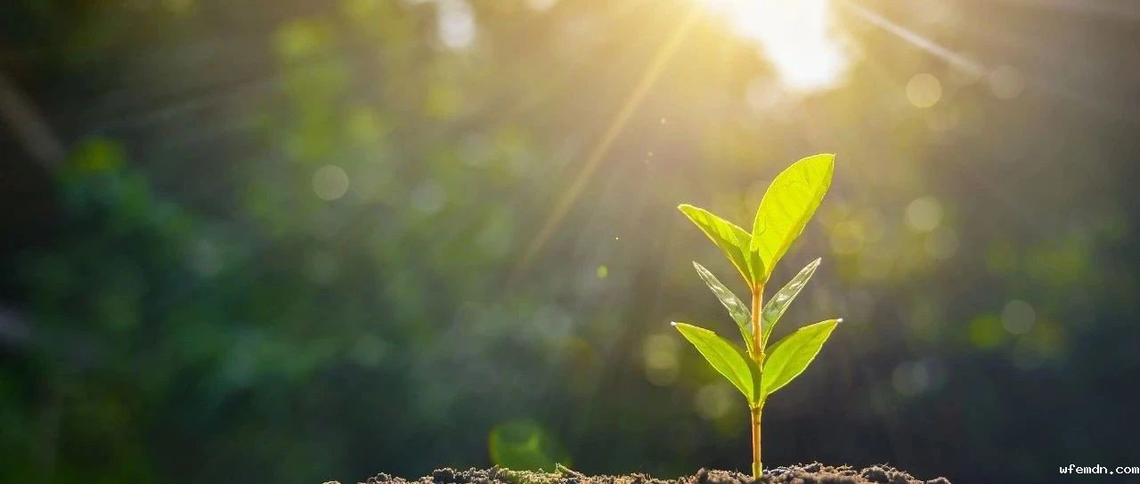 风雨同舟 患难与共 | 河南暴雨灾后恢复优米在行动