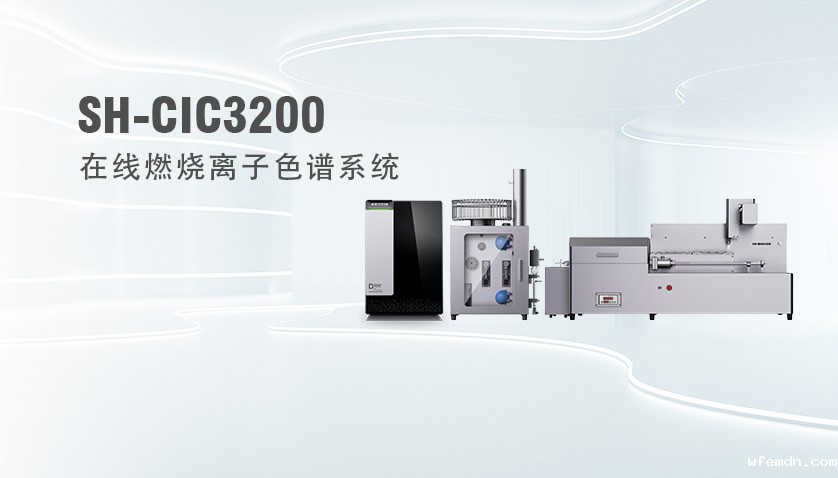 在线燃烧离子色谱系统